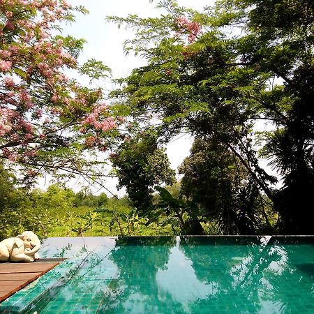 Ban Khok Lante Gecko Villa المظهر الخارجي الصورة